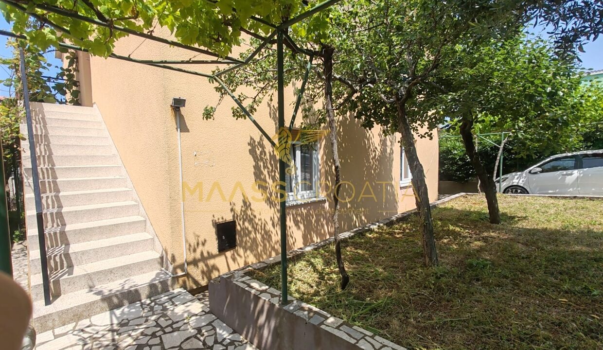 PHOTO-2025-11-25-12-39-02 (3)