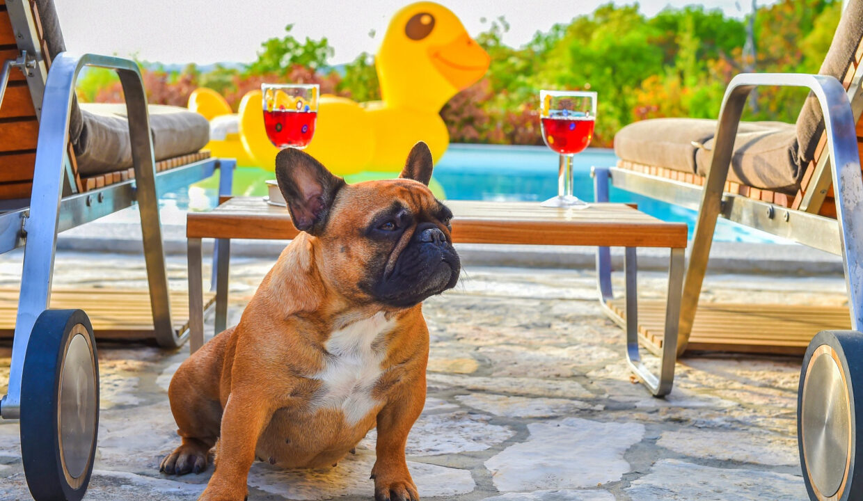 Haus mit Meerblick Rijeka