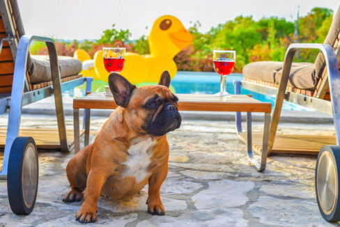 Haus mit Meerblick Rijeka