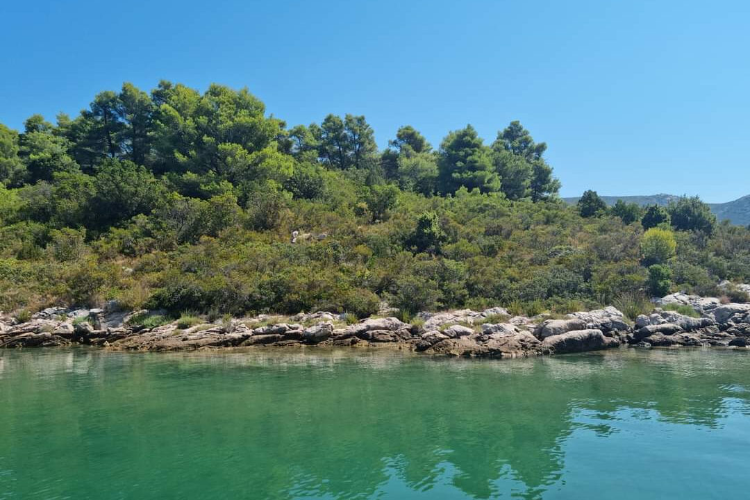 Insel zu verkaufen, Region Dubrovnik